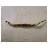 Longhorn Wall Mount
