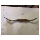 Longhorn Wall Mount