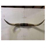 Longhorn Wall Mount