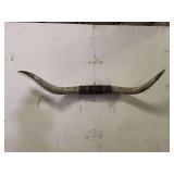 Longhorn Wall Mount