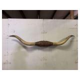 Longhorn Wall Mount