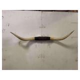 Longhorn Wall Mount