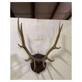 Elk Plaque Mount