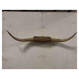 Longhorn Wall Mount