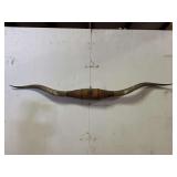 Longhorn Wall Mount