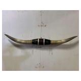 Longhorn Wall Mount