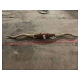 Longhorn Wall Mount Broken