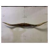 Longhorn Wall Mount
