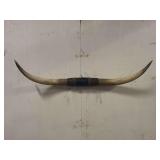 Longhorn Wall Mount