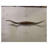Longhorn Wall Mount