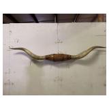 Longhorn Wall Mount
