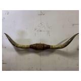Longhorn Wall Mount