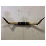Longhorn Wall Mount