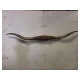 Longhorn Wall Mount