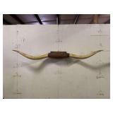 Longhorn Wall Mount