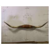 Longhorn Wall Mount