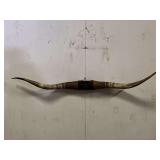 Longhorn Wall Mount