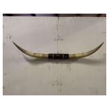 Longhorn Wall Mount