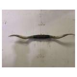 Longhorn Wall Mount