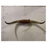 Longhorn Wall Mount