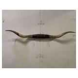 Longhorn Wall Mount