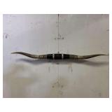 Longhorn wall Mount