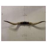 Longhorn Wall Mount