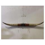 Longhorn Wall Mount