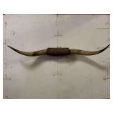 Longhorn Wall Mount