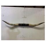 Longhorn Wall Mount