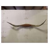 Longhorn Wall Mount