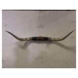 Longhorn Wall Mount
