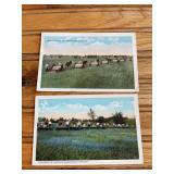 (2) Kentucky Blue Grass Postcards