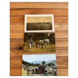 (3) Harvesting Postcards