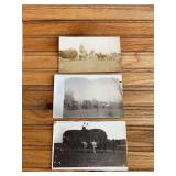 (3) Haying Photo Postcards