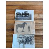 (3) Horse Postcards