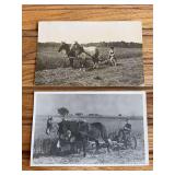 (2) Horse Drawn Mower Photo Postcards