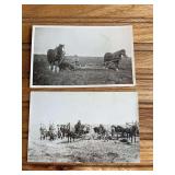 (2) Bull Rake Photo Postcards