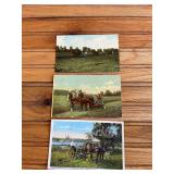(3) Mower Postcards