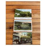 (3) Hay Wagon Postcards