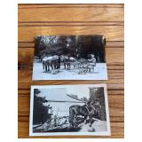 (2) Horse Drawn Cultivator Photos