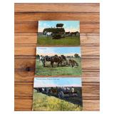 (3) Postcards