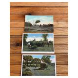 (3) Haying Postcards