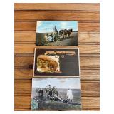 (3) Farming Postcards