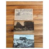 (3) Horse Postcards