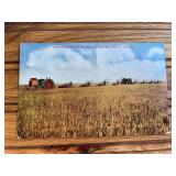 Gas Traction Big 4 Postcard