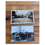 (2) Hay Wagon Photos