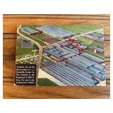 Caterpillar Postcard Set