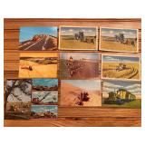 (10) Caterpillar Postcards