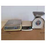 (3) Scales Lot